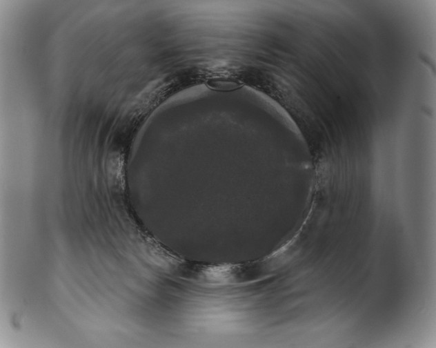 X0000102240178200808081445