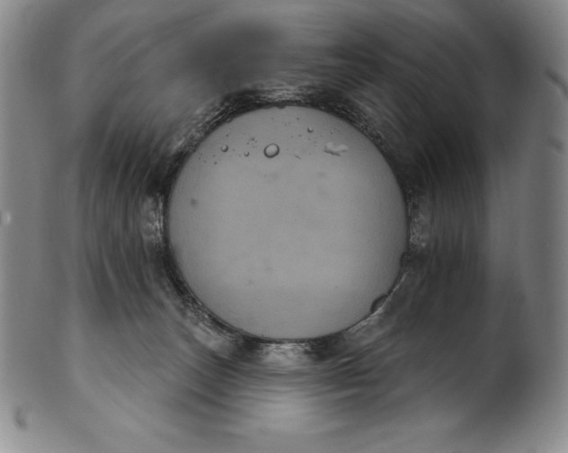 X0000102240179200808081445