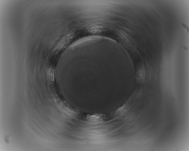 X0000102240180200808081445