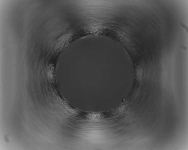 X0000102240181200808081445