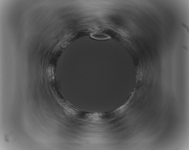 X0000102240182200808081445