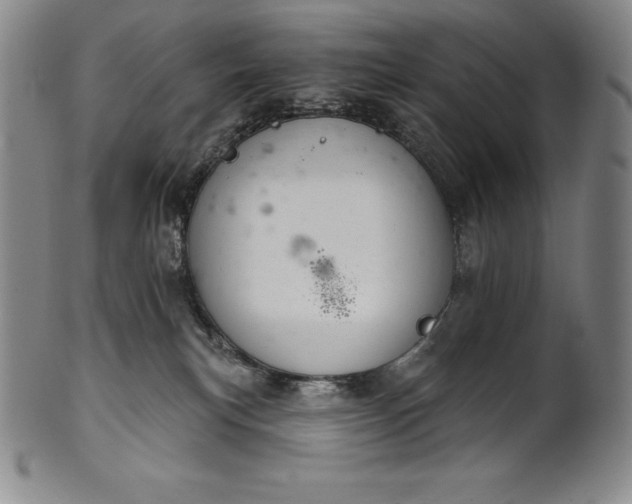 X0000102240183200808081445