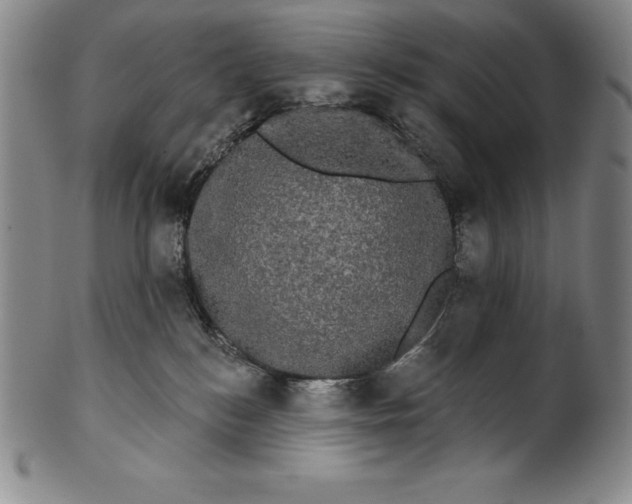 X0000102240184200808081445