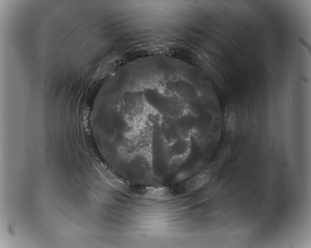 X0000102240185200808081445