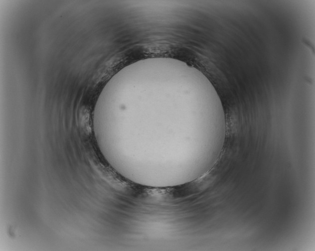 X0000102240187200808081445