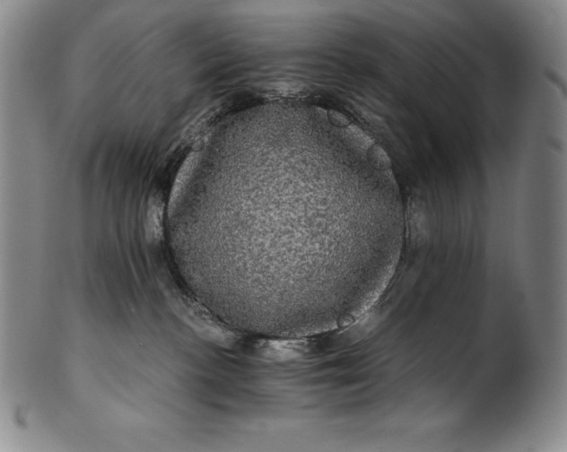 X0000102240188200808081445