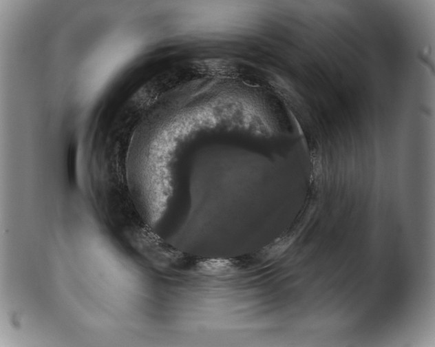 X0000102240189200808081445