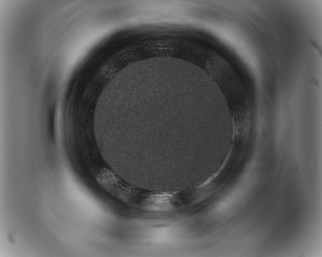 X0000102240190200808081445