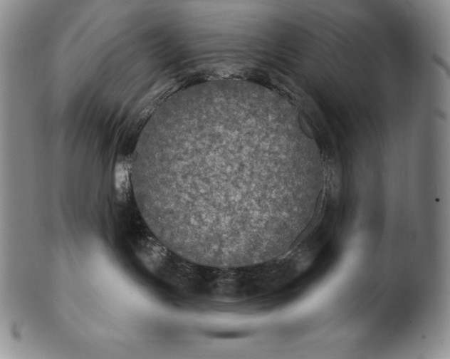 X0000102240191200808081445