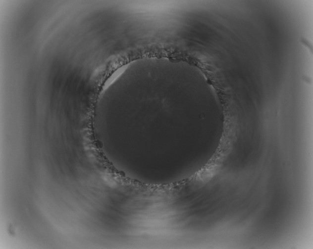 X0000102240192200808081445