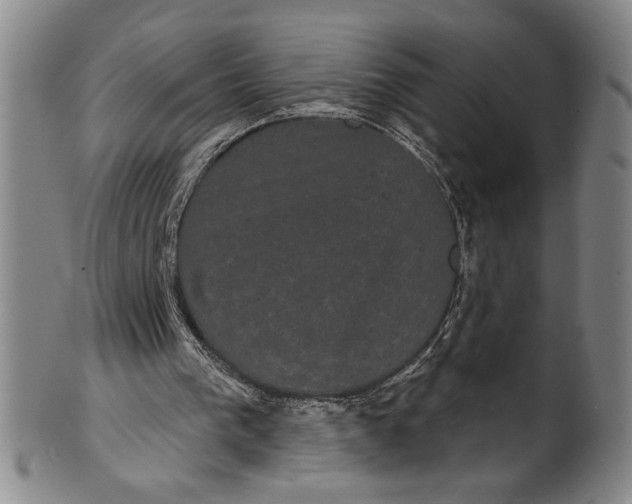 X0000102240193200808081444