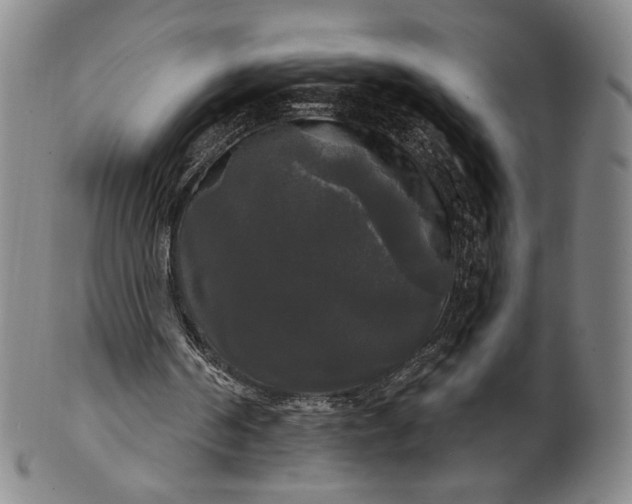 X0000102240194200808081444