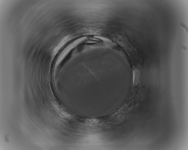 X0000102240195200808081444