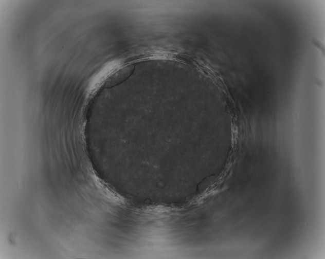 X0000102240197200808081444