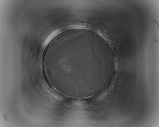 X0000102240199200808081444