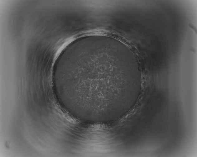 X0000102240200200808081444