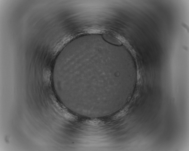 X0000102240201200808081444