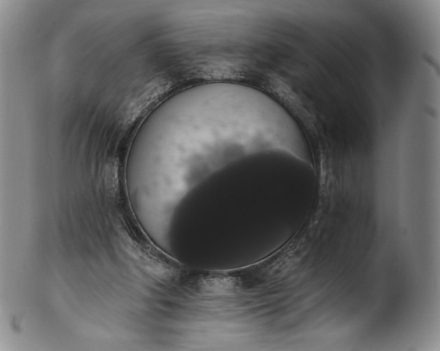 X0000102240202200808081444