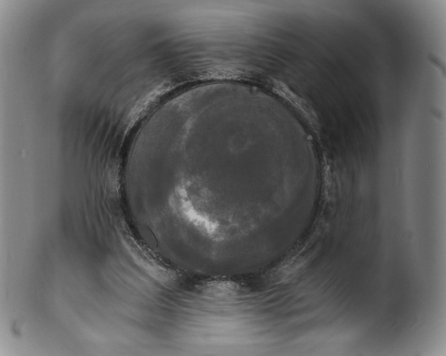 X0000102240203200808081444