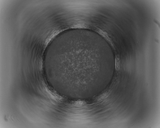 X0000102240204200808081444