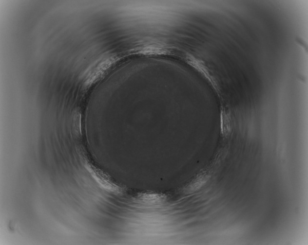 X0000102240205200808081444