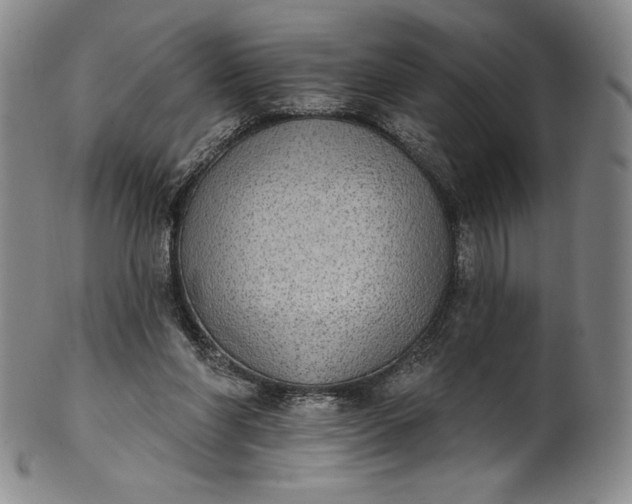 X0000102240206200808081444