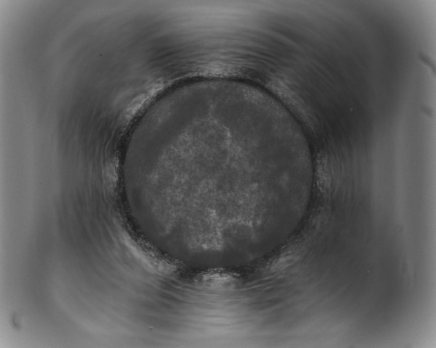 X0000102240208200808081444