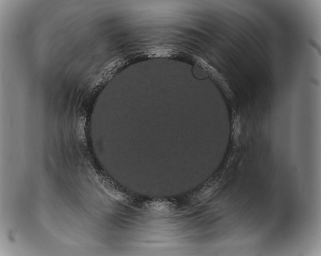 X0000102240209200808081444