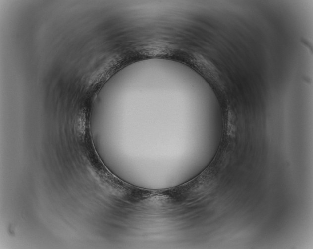 X0000102240210200808081444