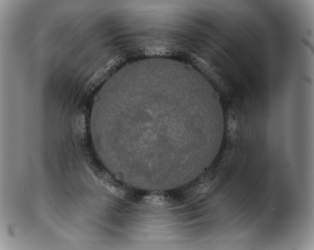 X0000102240211200808081444