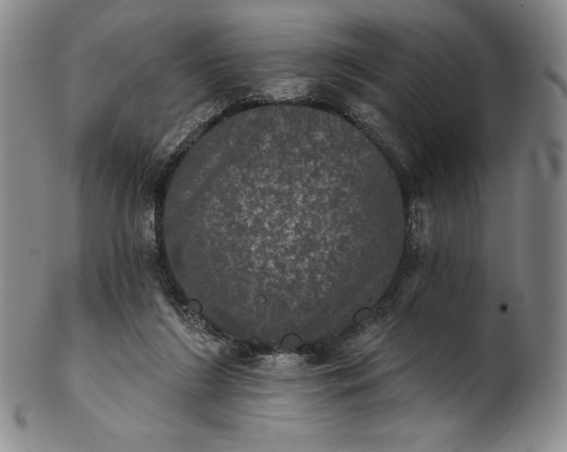 X0000102240212200808081444