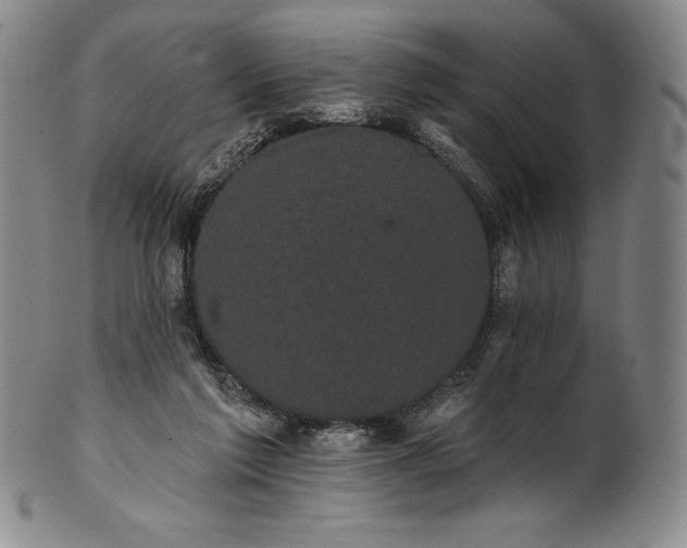 X0000102240213200808081444