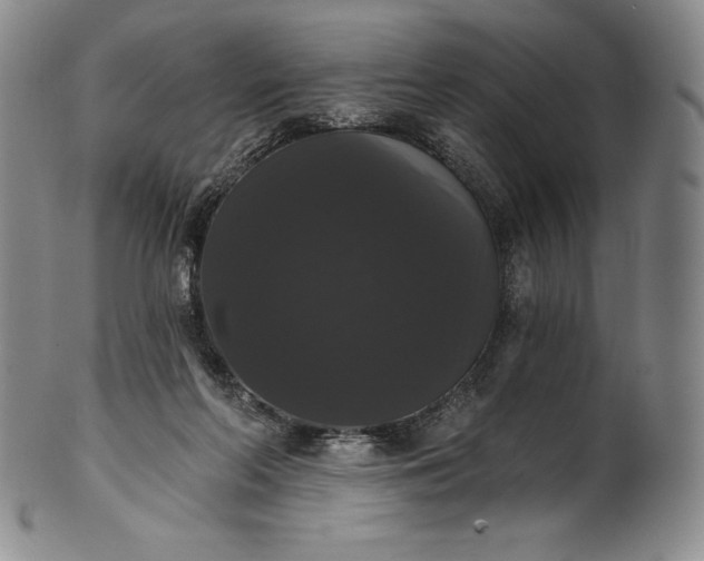 X0000102240214200808081444