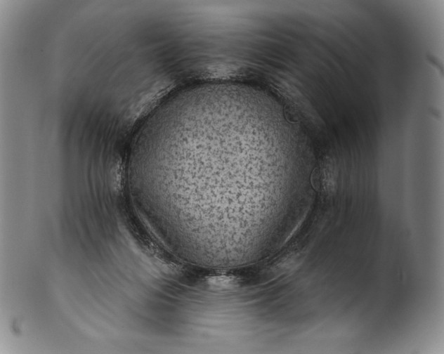 X0000102240216200808081444