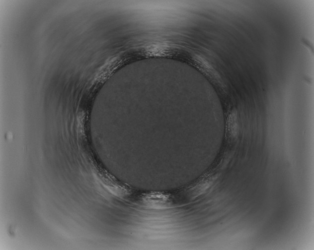 X0000102240217200808081444