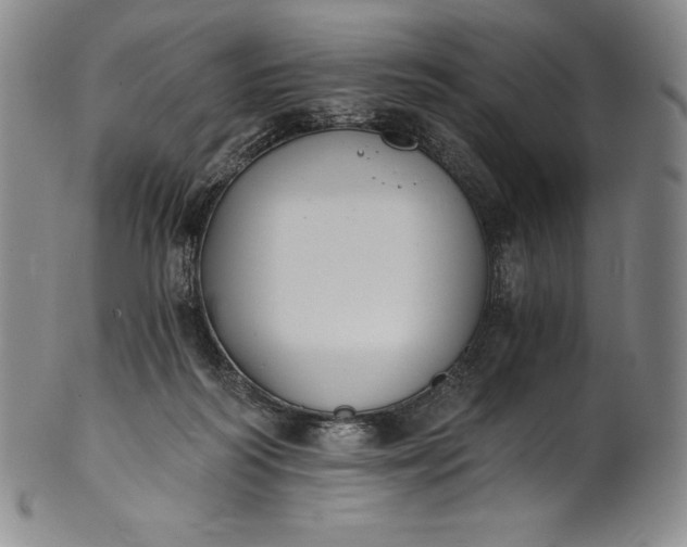 X0000102240218200808081444