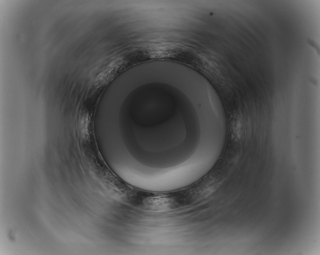 X0000102240219200808081444