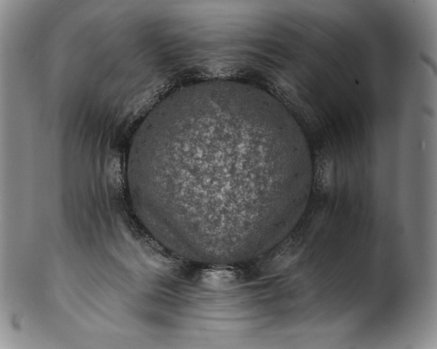 X0000102240220200808081444