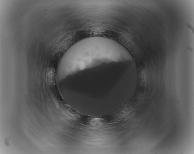 X0000102240222200808081444