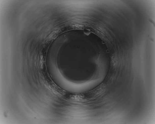 X0000102240223200808081444