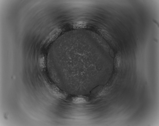 X0000102240224200808081444