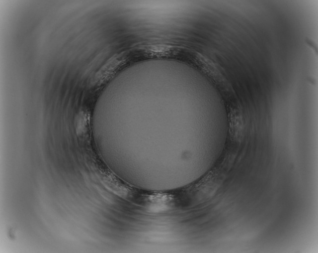 X0000102240225200808081443