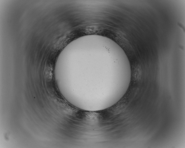 X0000102240226200808081443