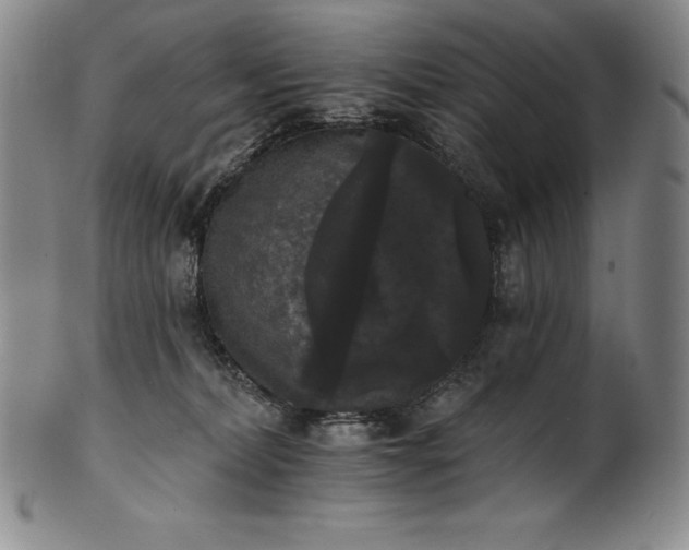 X0000102240228200808081443