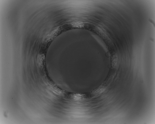 X0000102240229200808081443