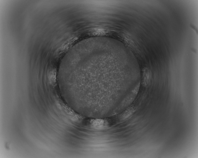 X0000102240230200808081443