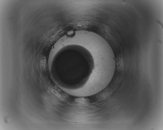 X0000102240231200808081443