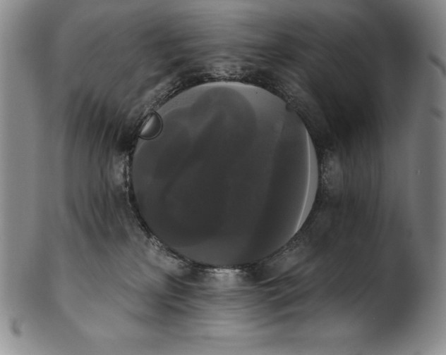 X0000102240233200808081443