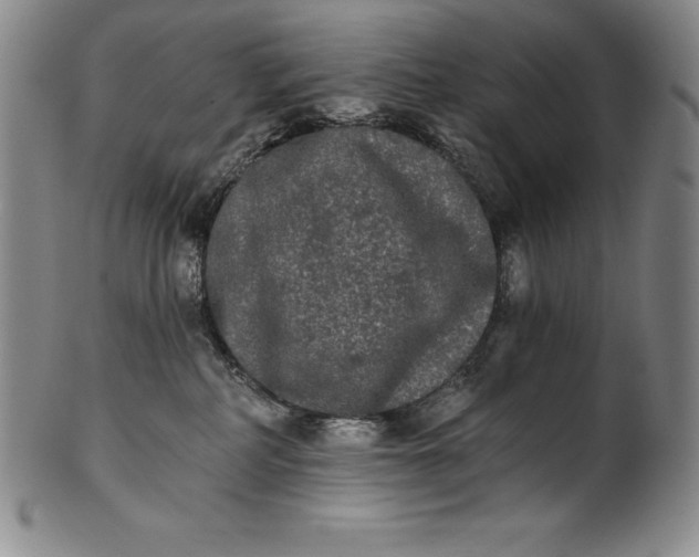 X0000102240234200808081443