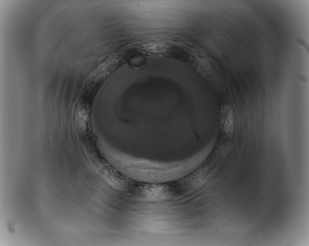 X0000102240235200808081443